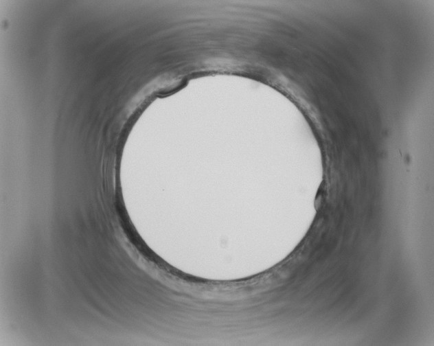 X0000086010011200704201908