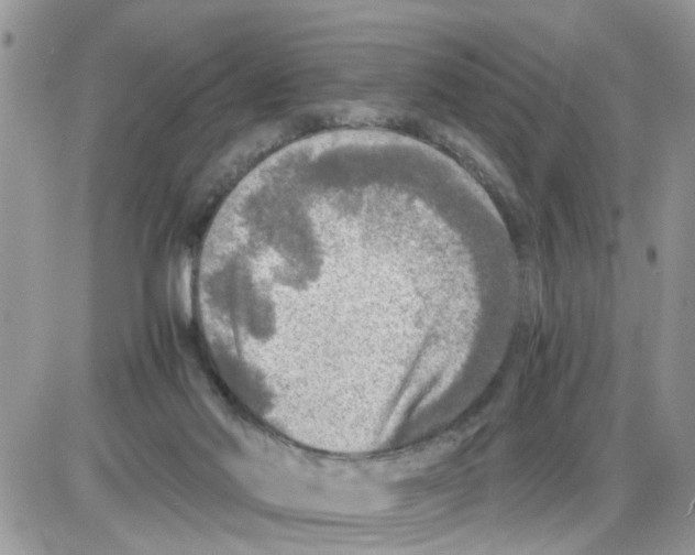 X0000086010022200704201907