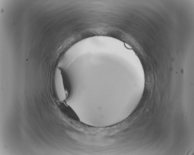 X0000086010023200704201907