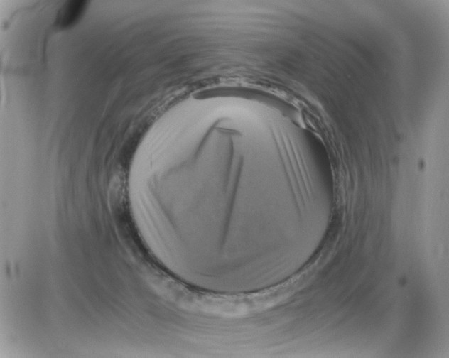 X0000086010029200704201907