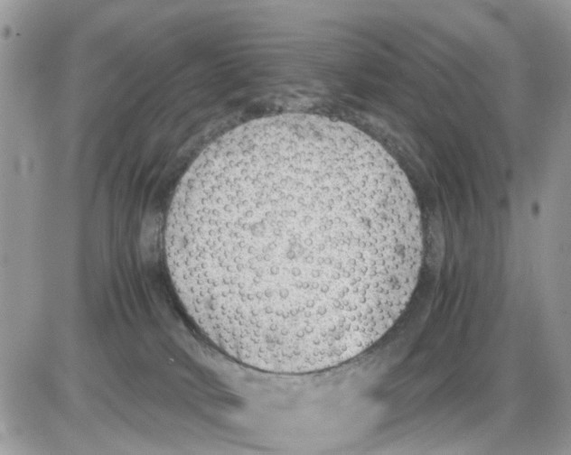 X0000086010034200704201907