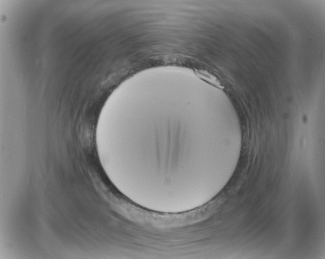 X0000086010039200704201907