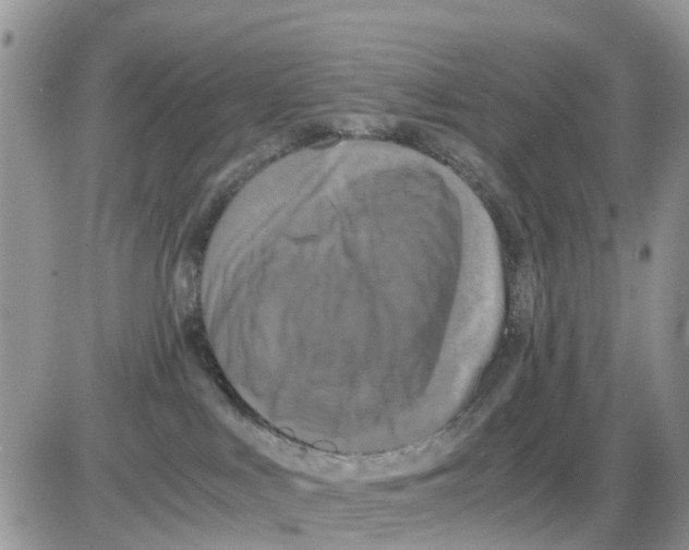 X0000086010043200704201907