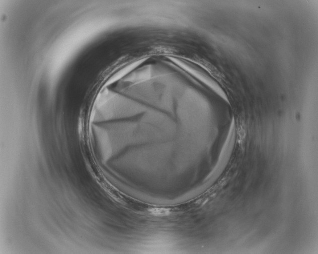X0000086010052200704201906