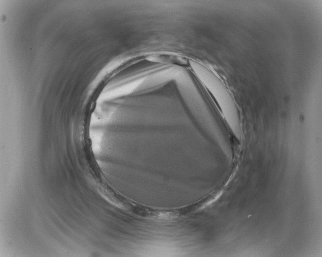 X0000086010056200704201906