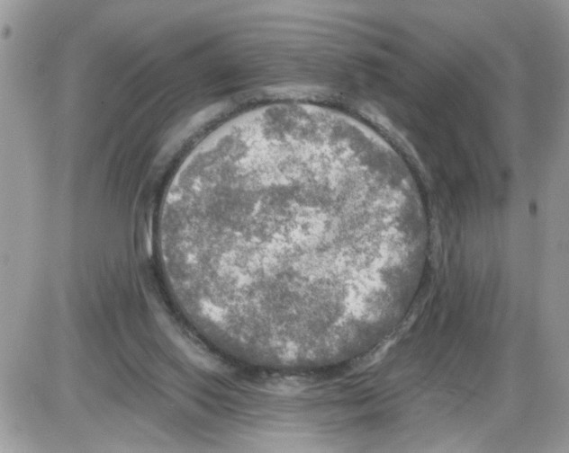 X0000086010062200704201906