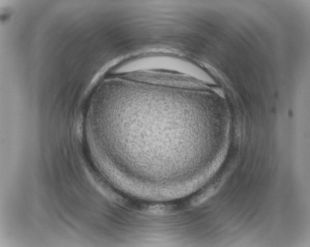 X0000086010064200704201906