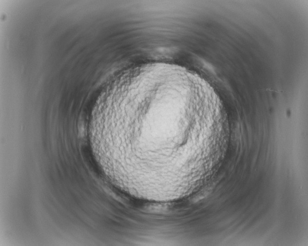 X0000086010084200704201907