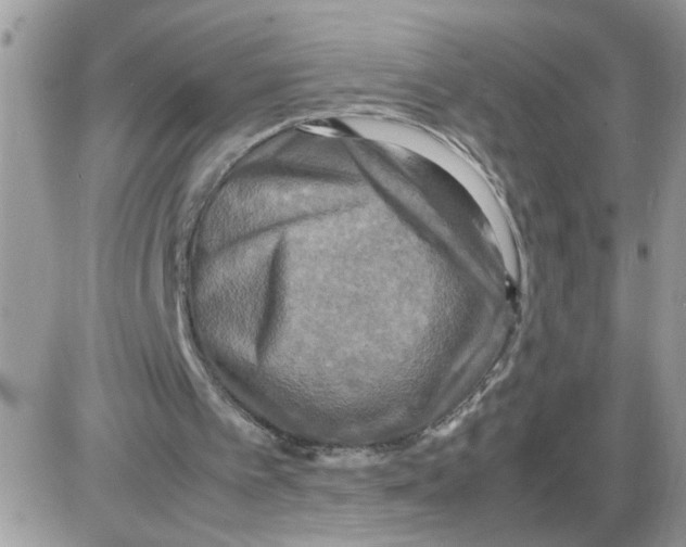 X0000086010097200704201906