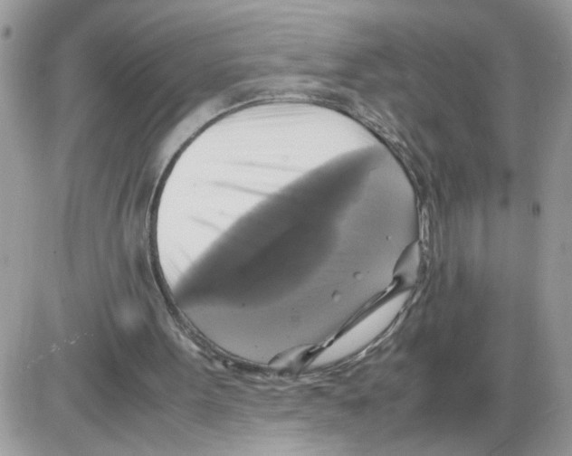 X0000086010099200704201906