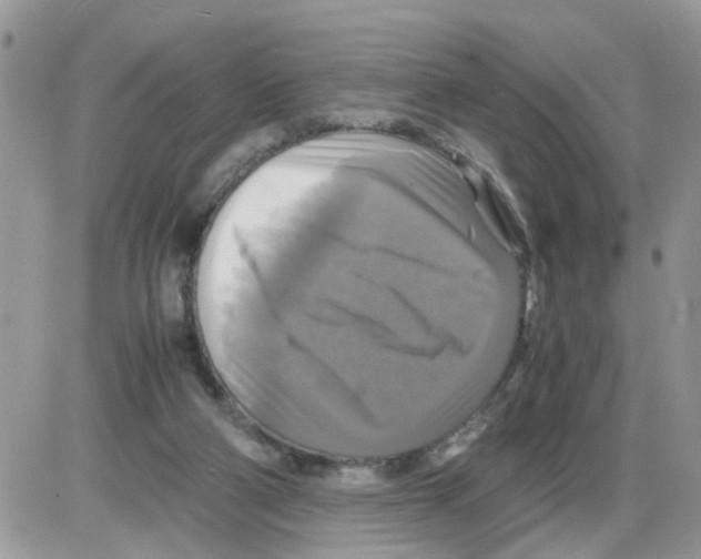 X0000086010114200704201906