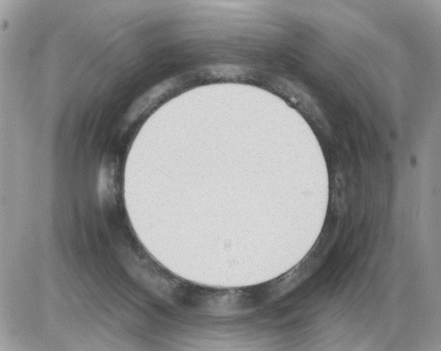 X0000086010116200704201906