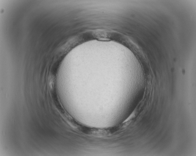 X0000086010125200704201906