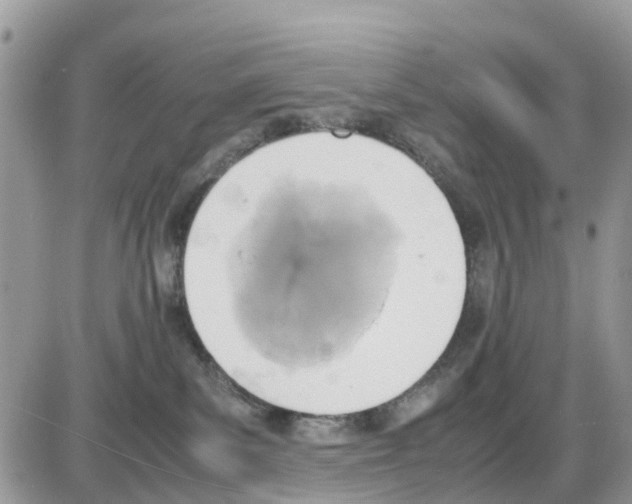 X0000086010139200704201905