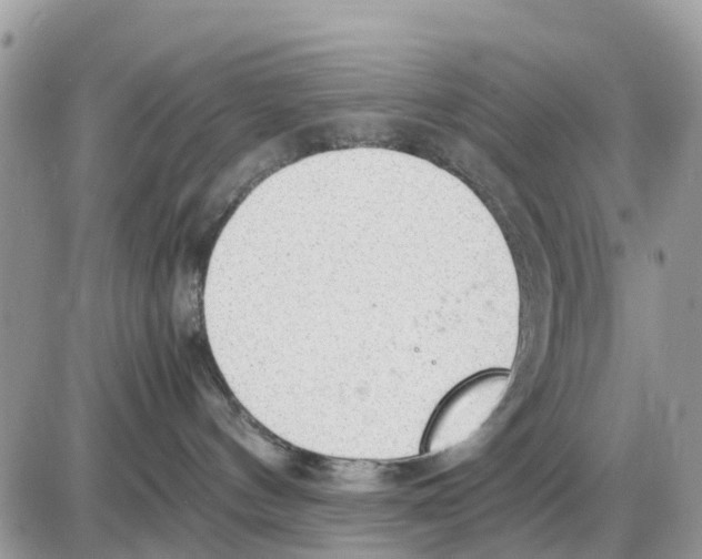 X0000086010144200704201905