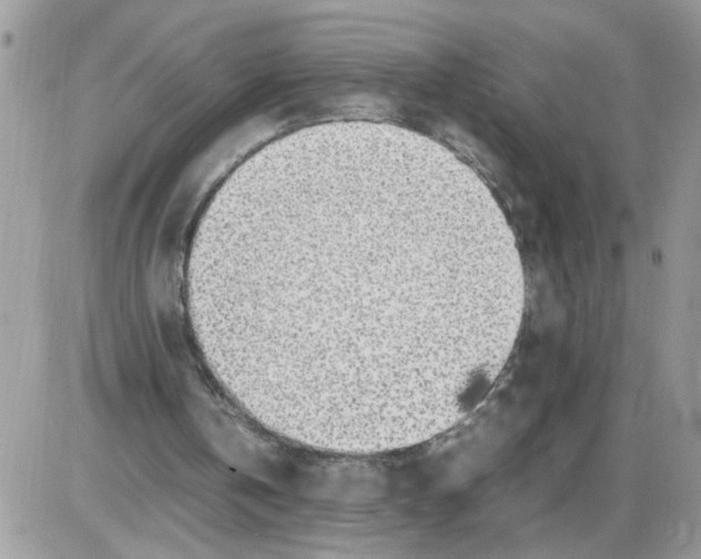 X0000086010146200704201905