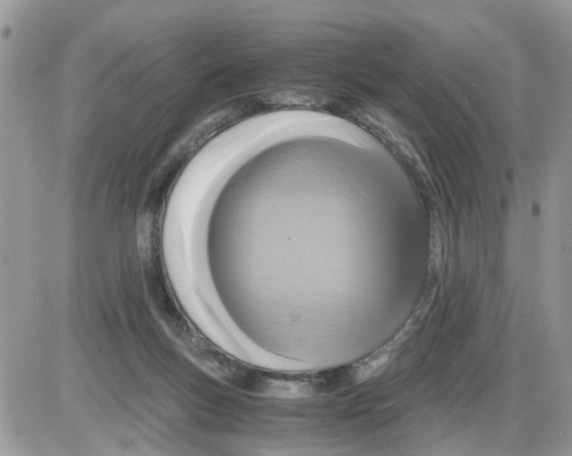 X0000086010167200704201905