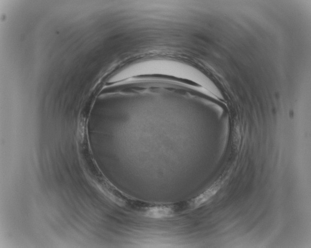 X0000086010168200704201905