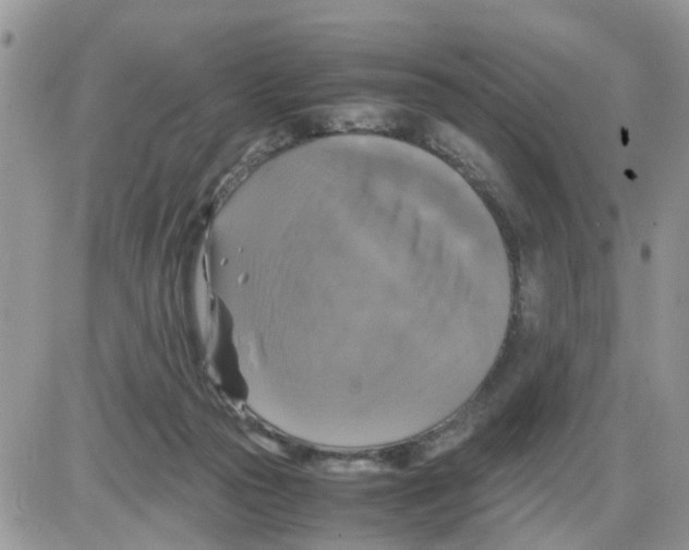 X0000086010169200704201905