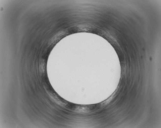 X0000086010174200704201905