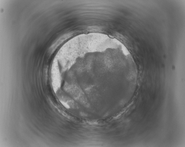 X0000086010194200704201905