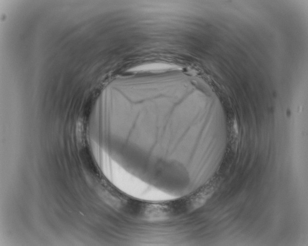 X0000086010222200704201904