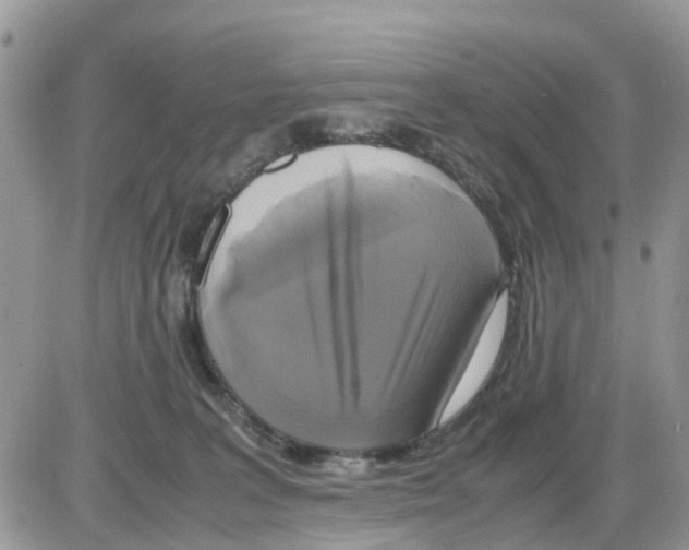 X0000086010227200704201904