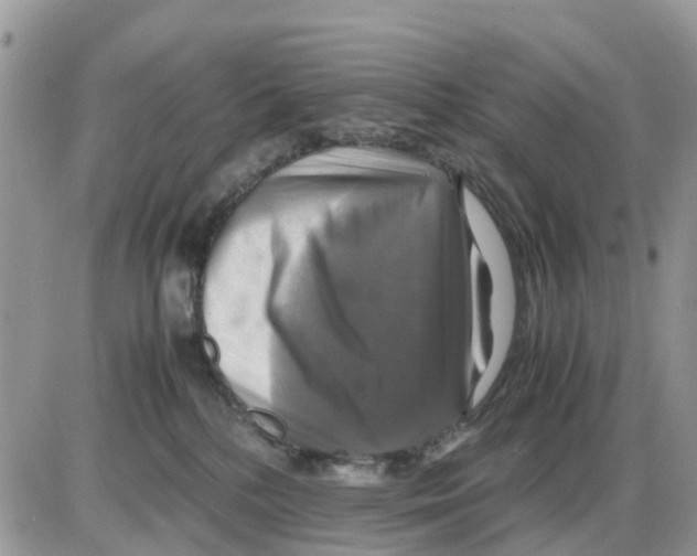 X0000086010232200704201904