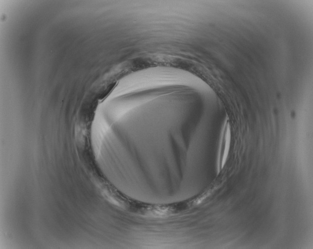 X0000086010235200704201904