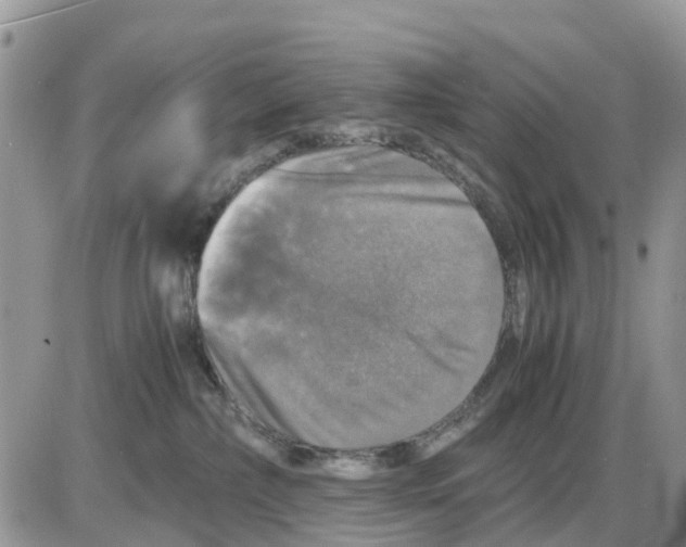 X0000086010236200704201904
