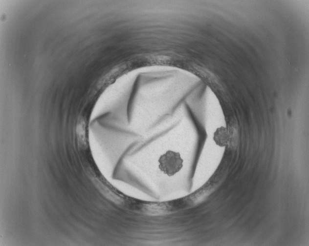 X0000086010238200704201904