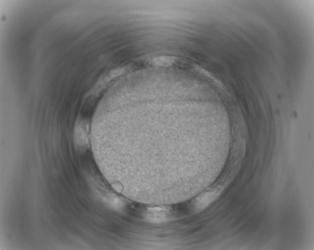 X0000086010240200704201904