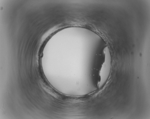 X0000086010246200704201903