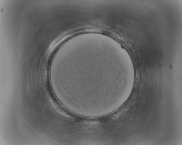 X0000086010247200704201903