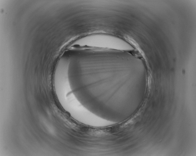 X0000086010249200704201903