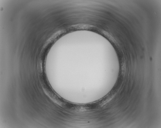 X0000086010254200704201903