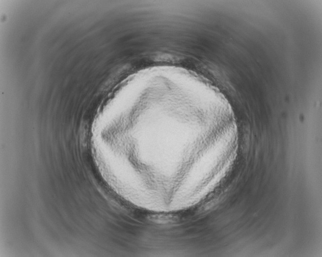 X0000086010273200704201904