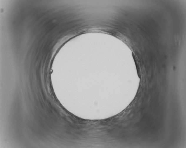 X0000086010289200704201903
