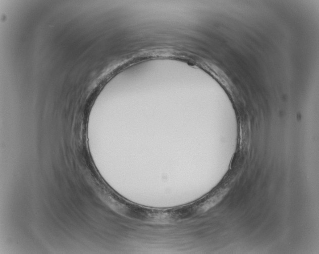 X0000086010301200704201903