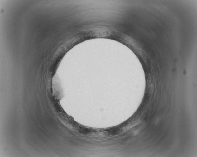 X0000086010307200704201903