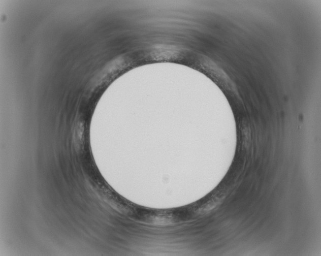 X0000086010308200704201903