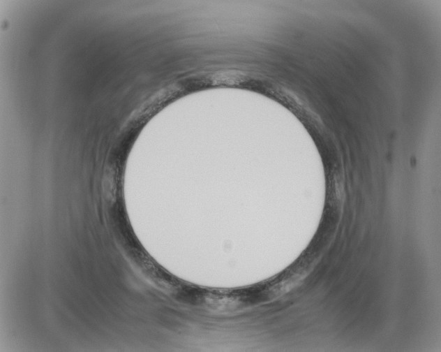 X0000086010311200704201903