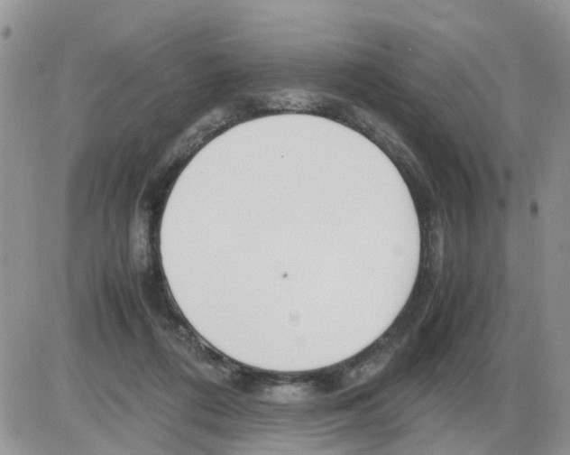 X0000086010312200704201903