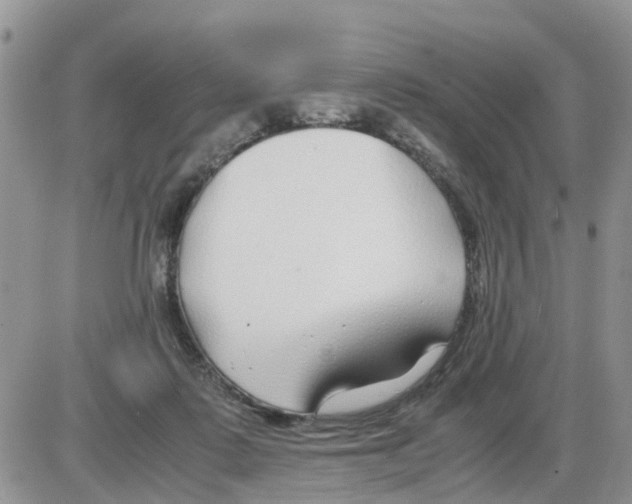 X0000086010315200704201903