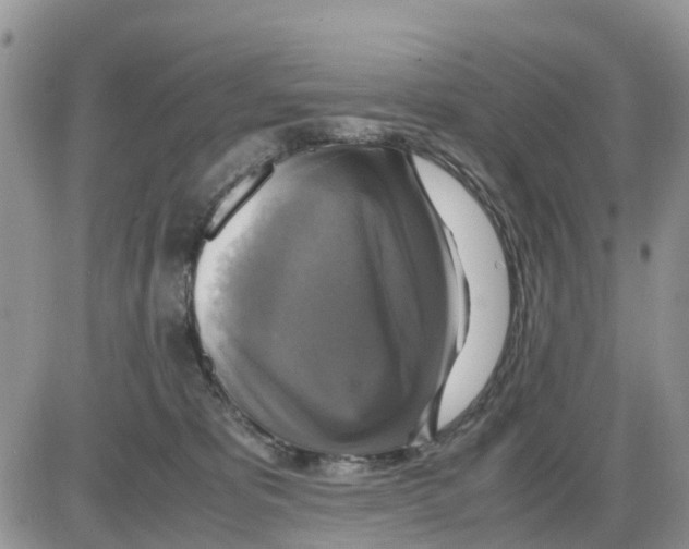 X0000086010325200704201902