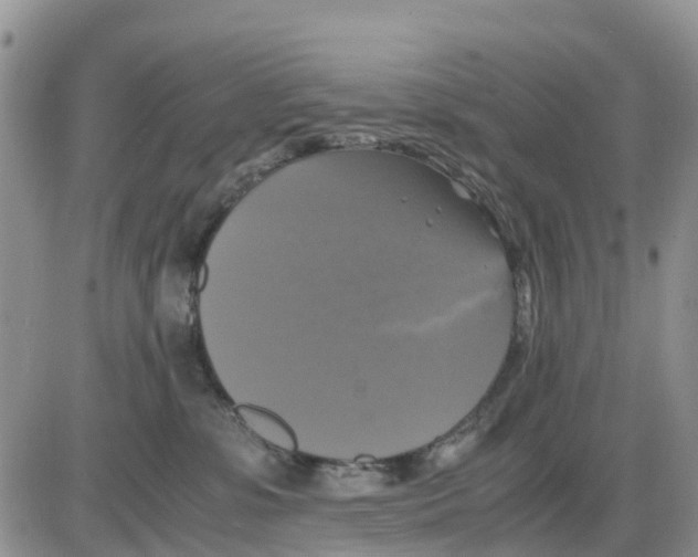 X0000086010331200704201902