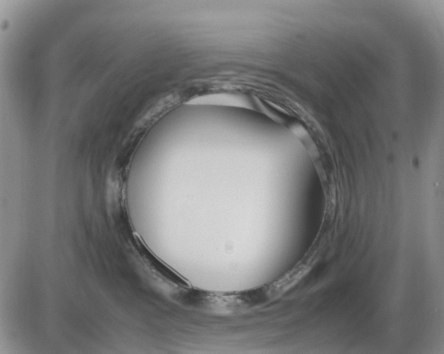 X0000086010333200704201902