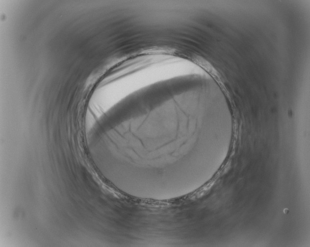 X0000086010337200704201901