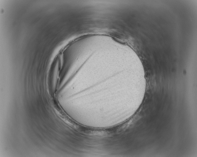 X0000086010342200704201902