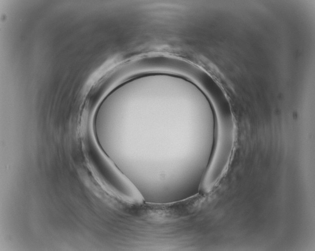 X0000086010344200704201902